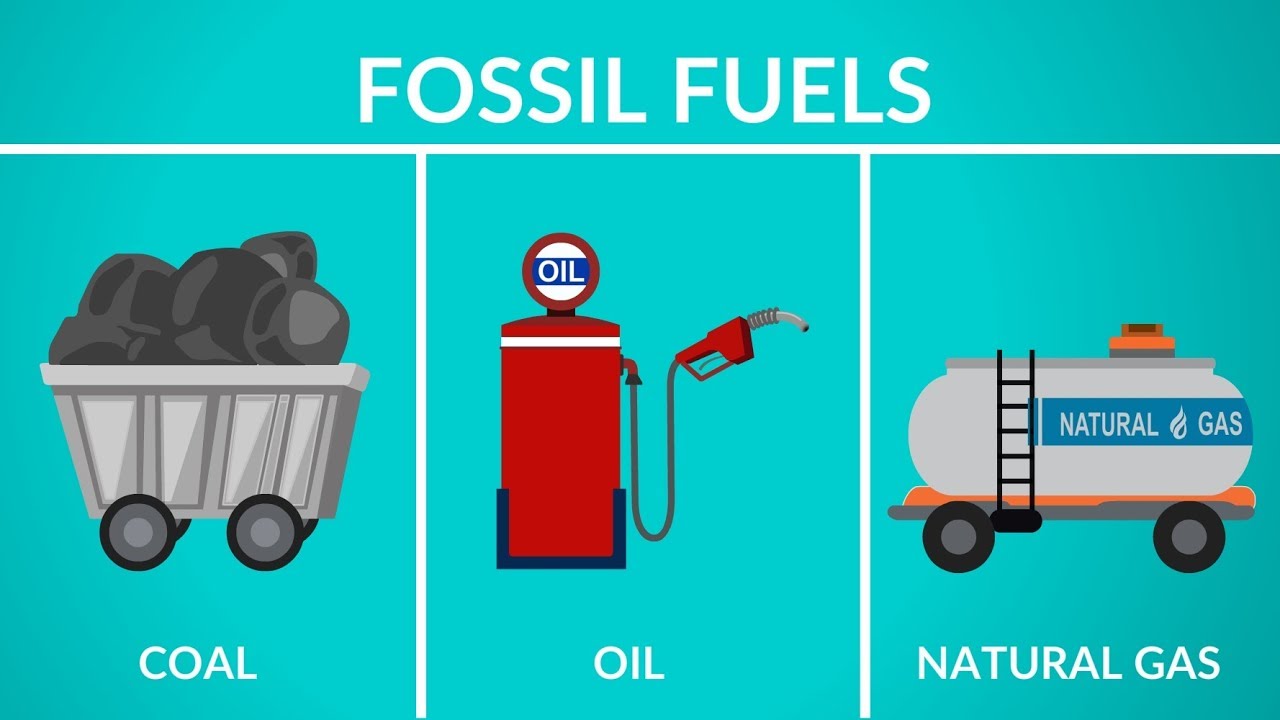 What Is Fuel? Explain All Types Of Fuel. - Guidemeahead.com